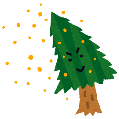 花粉の時期ですね